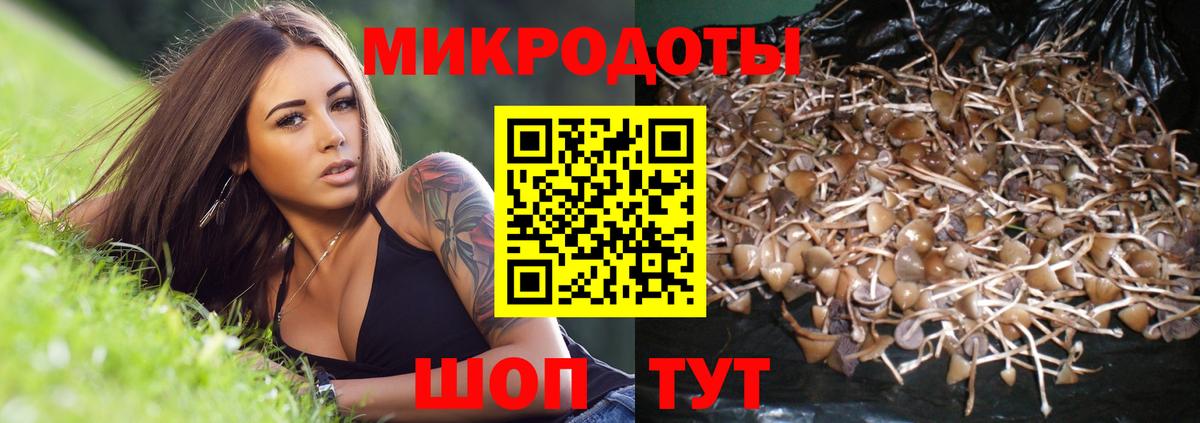 Галлюциногенные грибы Magic Shrooms Новоуральск